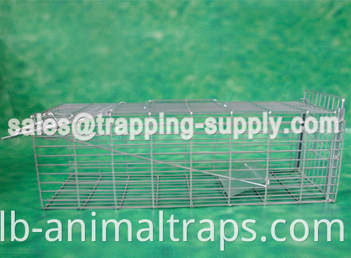 Released Door Rat Trap Cage